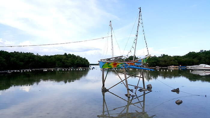 cebu city, lapu lapu