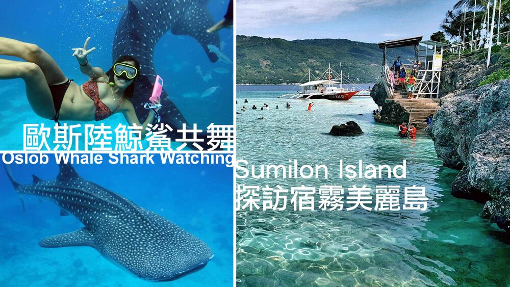 宿霧景點必遊【Oslob鯨鯊共舞】蘇米龍島Sumilon | 菲律賓推薦的行程
