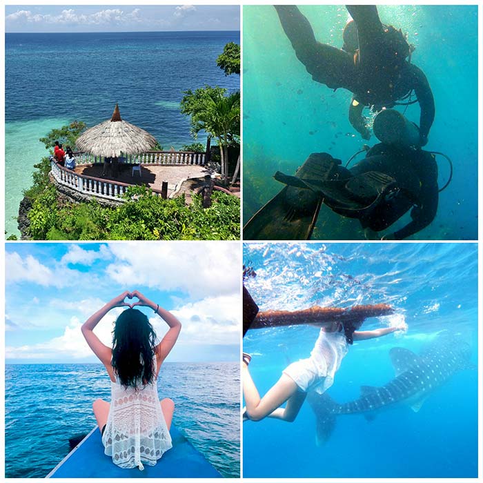 宿霧跳島, 浮潛, 潛水, 鯨鯊, 與鯨共游, 度假遊學