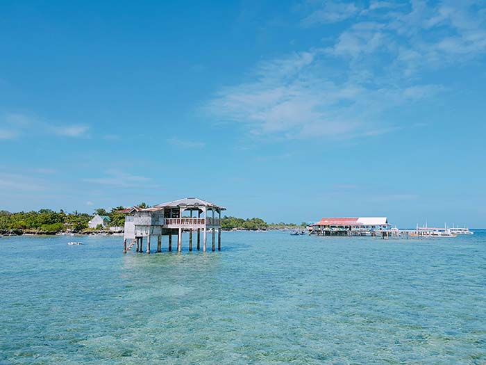 Olango Island, 宿霧旁的小島, 奧蘭哥島, 浮潛看魚
