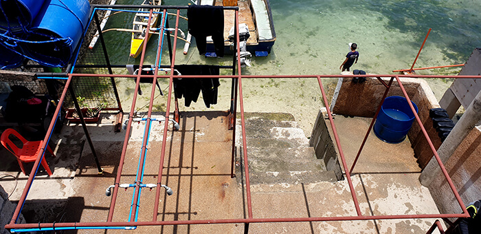 宿霧自由潛水, 宿霧潛水推薦, 考照推薦, 執照考取