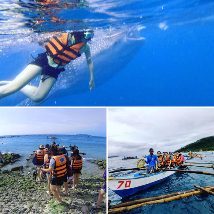 Oslob與鯨鯊共游, 菲律賓旅遊推薦