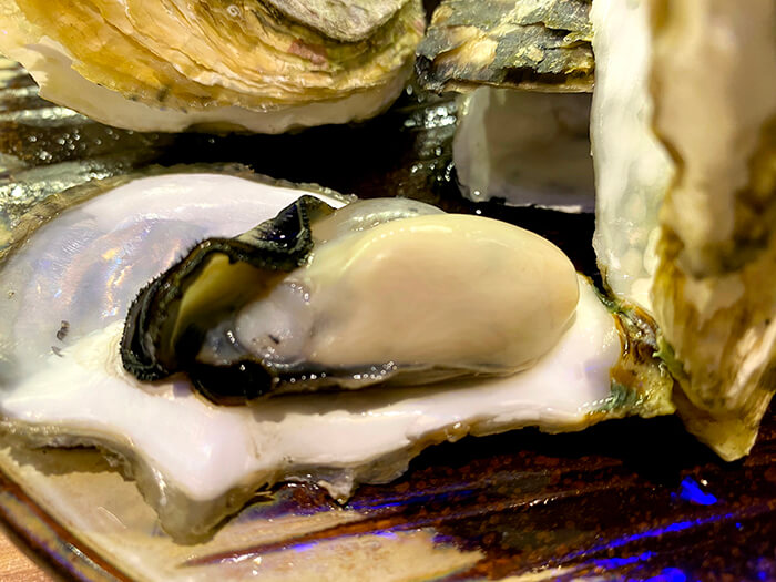 好吃生蠔 生蠔, 牡蠣, 蚌