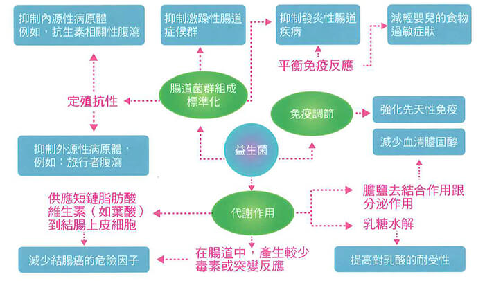 益生菌,免疫調節,代謝作用