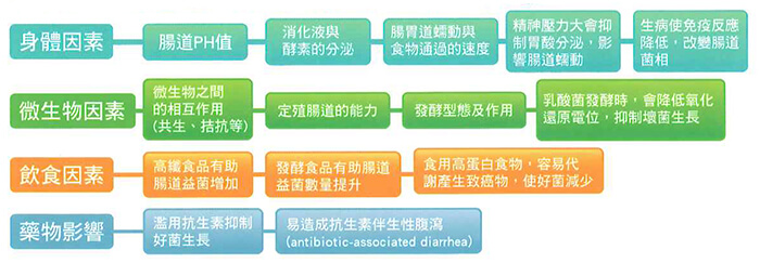 不良的生活習慣，加速毀壞腸道菌相的平衡
