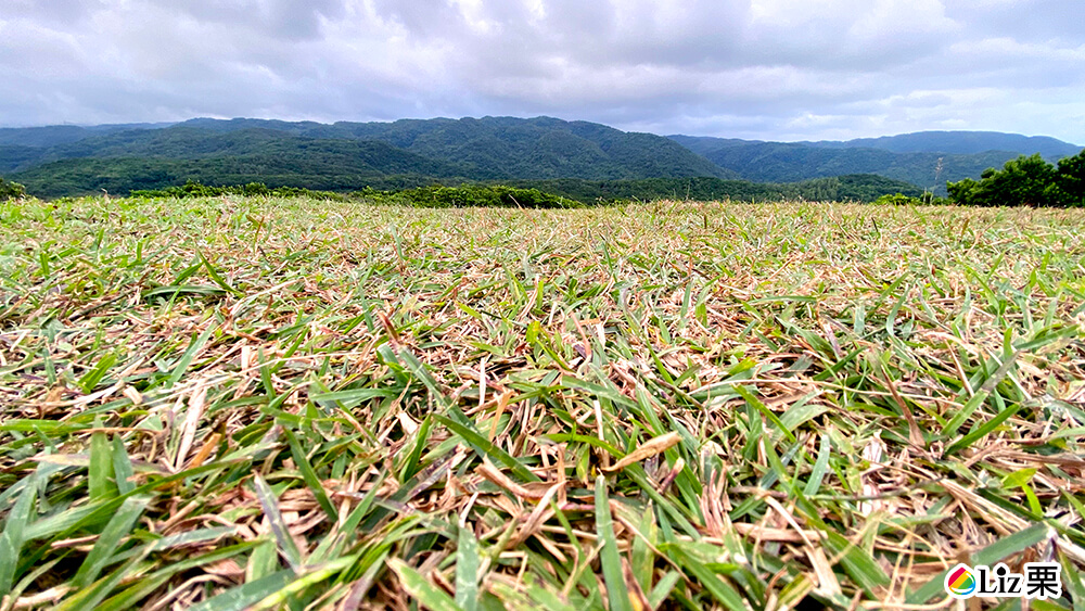 旭海大草原,旭海草原遊樂場