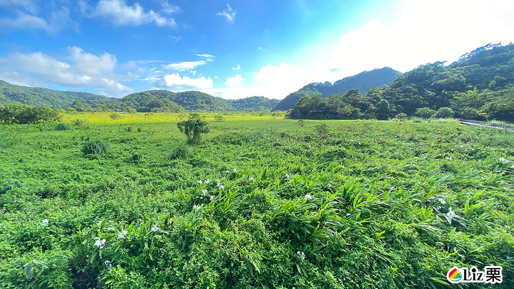 東源濕地(東源水上草原)