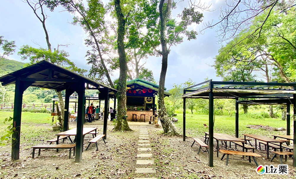 牡丹風織豆咖啡,下午茶