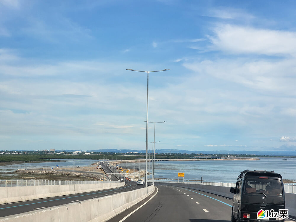 Cebu–Cordova Link Expressway