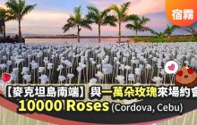 宿霧景點【10000 Roses】與一萬朵玫瑰 來場浪漫之約-麥克坦島南方Cordova, Cebu
