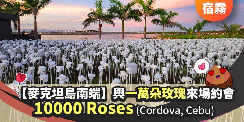 宿霧景點【10000 Roses】與一萬朵玫瑰 來場浪漫之約-麥克坦島南方Cordova, Cebu