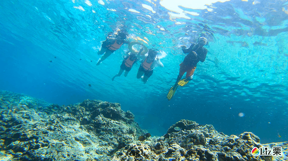 宿霧浮潛,墨寶,佩斯卡多爾島
