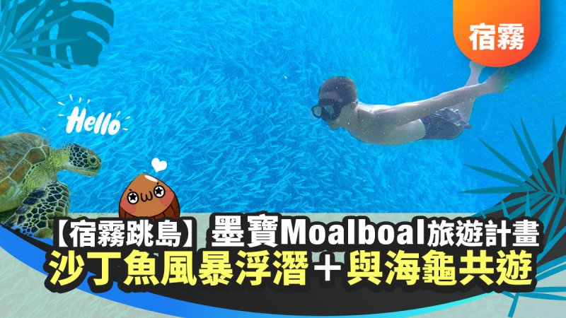 【宿霧經典必遊】墨寶沙丁魚風暴浮潛＋與海龜共遊 Moalboal Island, Cebu, Philippines
