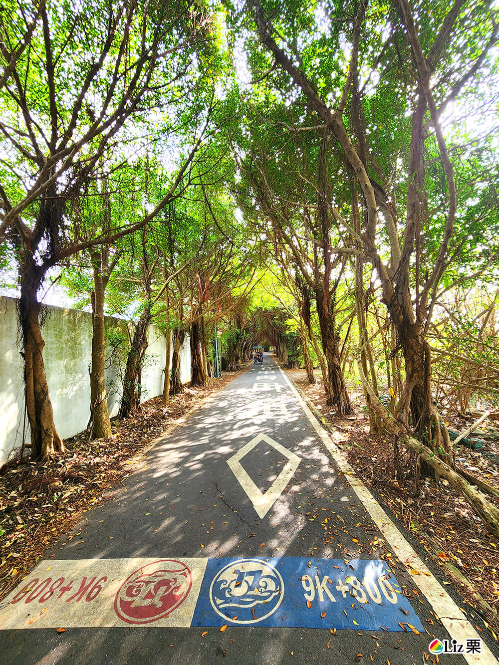 新竹17公里海岸腳踏車步道