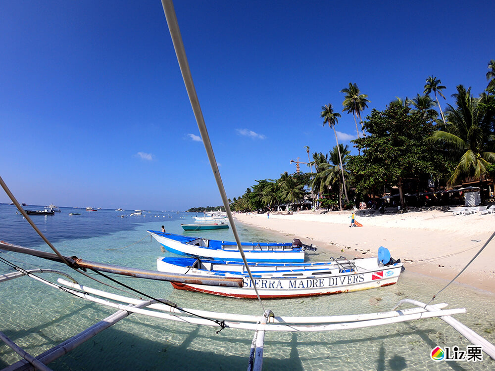 bohol hotel 009 薄荷島跳島,浮潛
