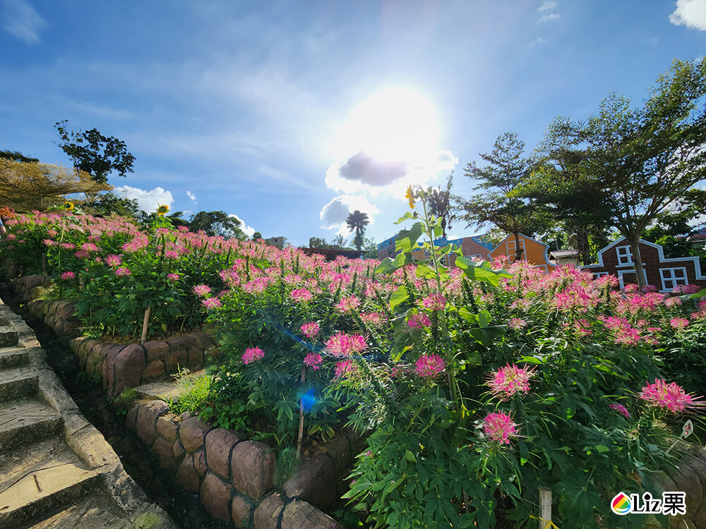 宿霧城市觀光,西勞花園 宿霧城市觀光,西勞花園
