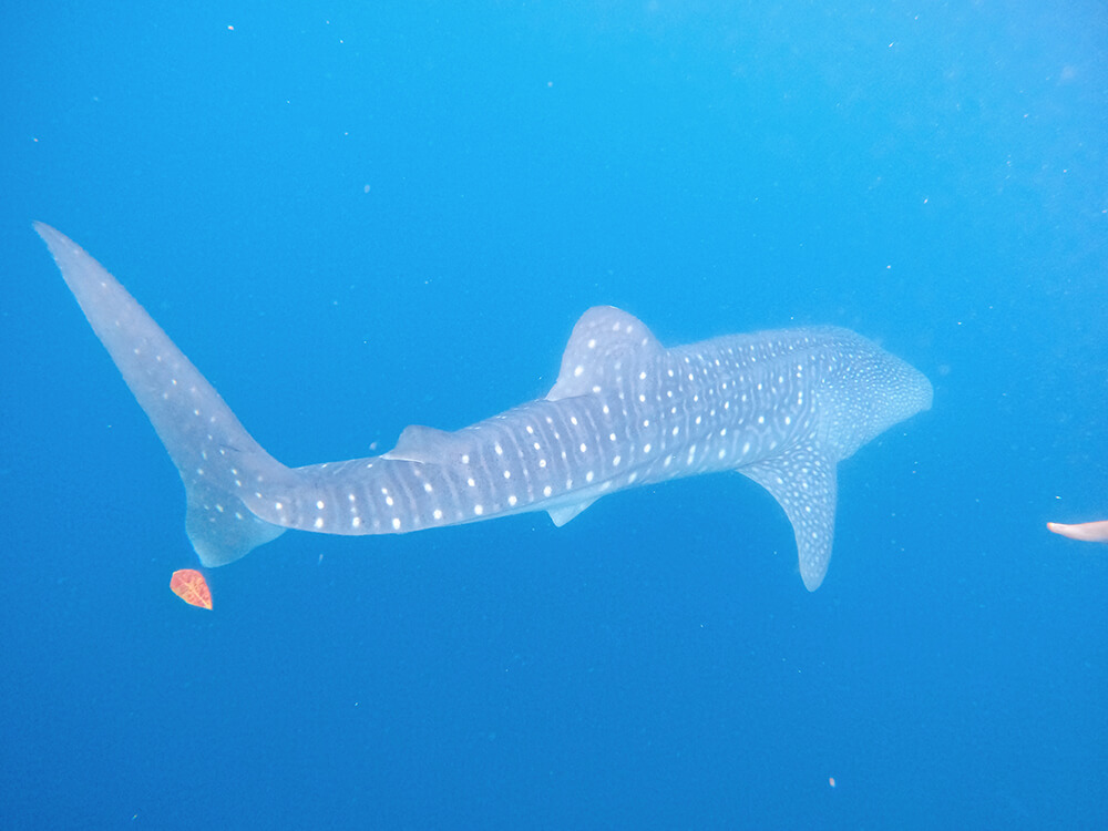 2023 07 19 22 07 42 257