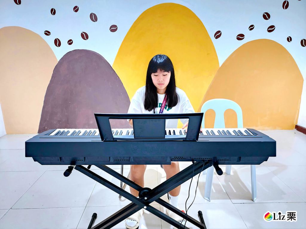 電鋼琴, BTES設施