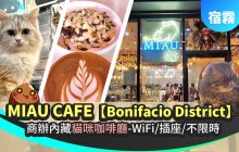 宿霧貓咪咖啡廳【MIAU Cafe】與貓咪零距離的療癒時光-Wifi快+插座+不限時(口袋名單之一..